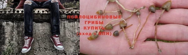 не бодяженный Алзамай
