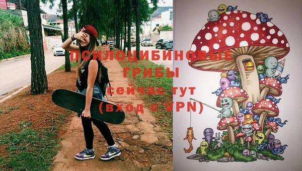 не бодяженный Алзамай