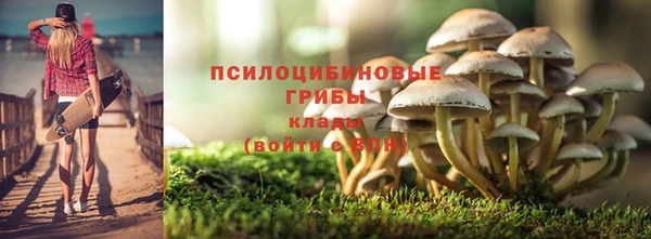 не бодяженный Алзамай
