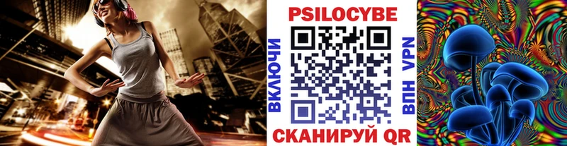 MEGA зеркало  Сасово  Псилоцибиновые грибы мухоморы  магазин продажи наркотиков 
