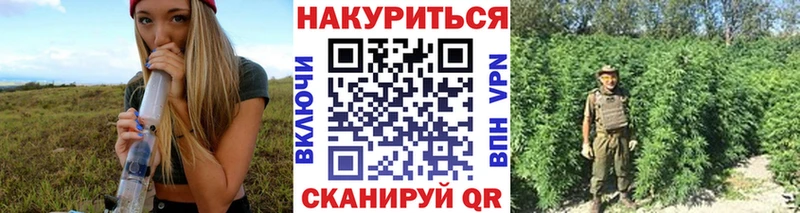 Бошки марихуана сатива  Сасово 